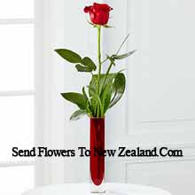 A Single Red Rose In A Red Test Tube Vase Delivered in New Zealand