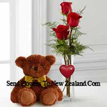 Three Red Roses In A Red Test Tube Vase And A Cute Brown 10 Inches Teddy Bear Delivered in New Zealand