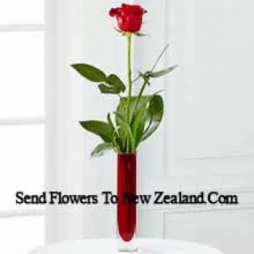 Une seule rose rouge dans un vase tube à essai rouge (Nous nous réservons le droit de substituer le vase en cas de non disponibilité. Stock limité)